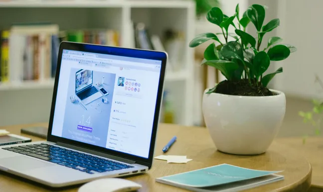 Boston small business website connected to Google Business Profile