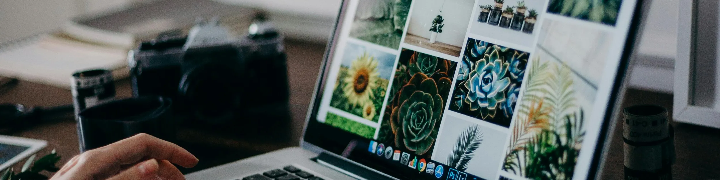 reviewing website portfolio examples on a laptop